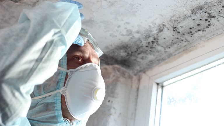 Environmental Consulting for Mold Prevention